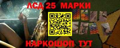 кокс Моздок